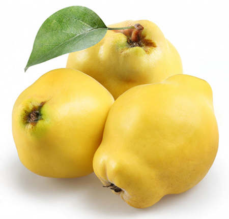 Membrillo